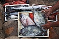 Ryby kuchya Dubrovnik