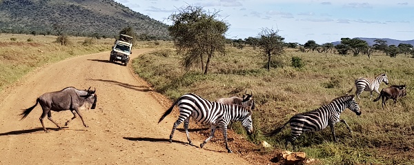 Safari Tanznia