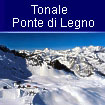  Tonale Ponte di Legno