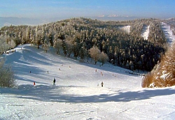 ly�ovanie Drienica