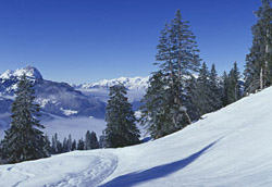 ly�ovanie Gstaad
