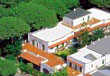 Pineta