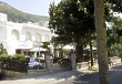 bouganville