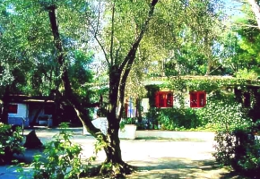 villaggio SAYONARA CLUB bujn� veget�cia zaru�uje tie�