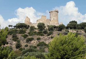 Kamp�nia bohat� hist�ria