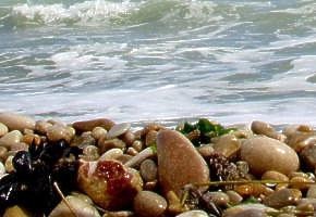  Marche pl�e aj s ob�asn�mi obl�zkami