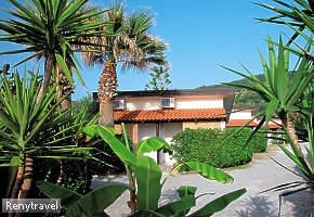 hotel ALBATROS medzi palmami