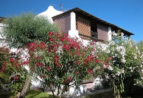 rezidencia SEA HOUSES z�hrada