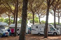 Argentario Camping Village, Albinia
